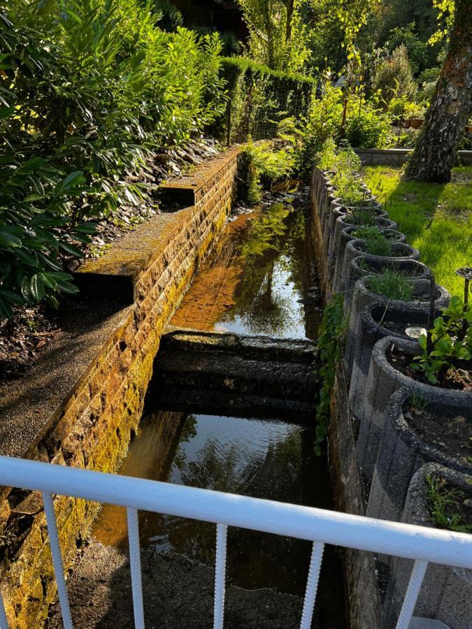 Dirbach Laicas Lodge מראה חיצוני תמונה